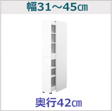 ssd-wb-3145-42bn.jpg