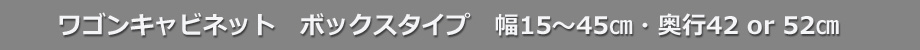 ssd-wb-tl.jpg