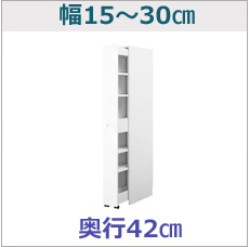 ssd-wb1530-42bn.jpg