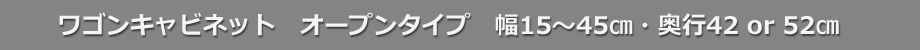 ssd-wp-tl.jpg